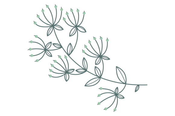 Hand Drawn Botany: Decorative Floral Pri Font Guide