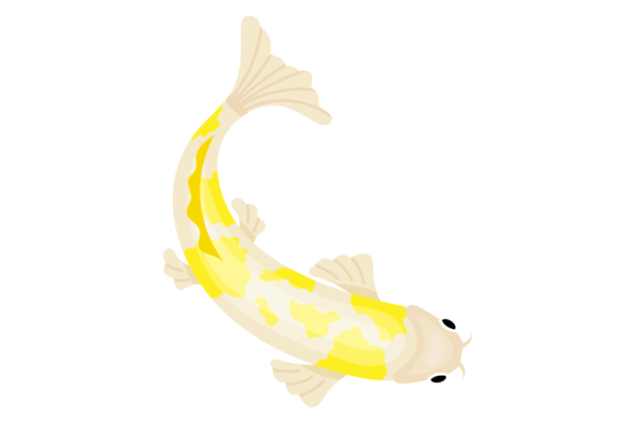 Japanese Garden Fish: Decorative Koi Pond Design
