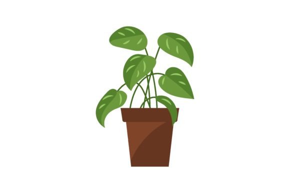 Potted Houseplants: Your Interior Design Secret Weapon