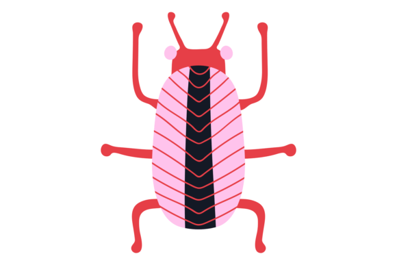 Whimsical Character: Using Funny Bug Decorative Beetle in Design